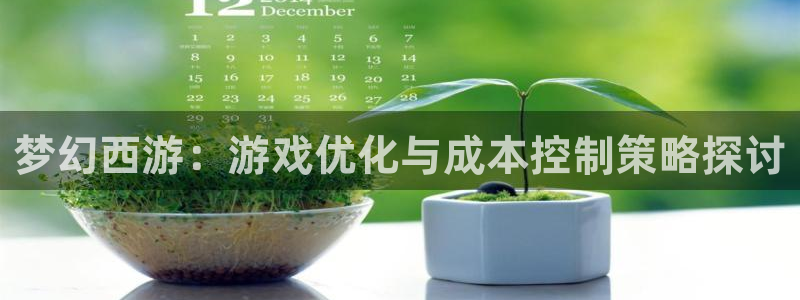 巅峰国际app：梦幻西游：游戏优化与成本控制策略探讨