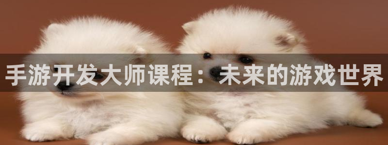 巅峰国际登陆：手游开发大师课程：未来的游戏世界