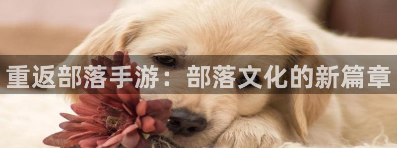 巅峰国际登录：重返部落手游：部落文化的新篇章