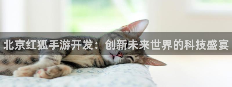 巅峰国际平台：北京红狐手游开发：创新未来世界的科技盛宴