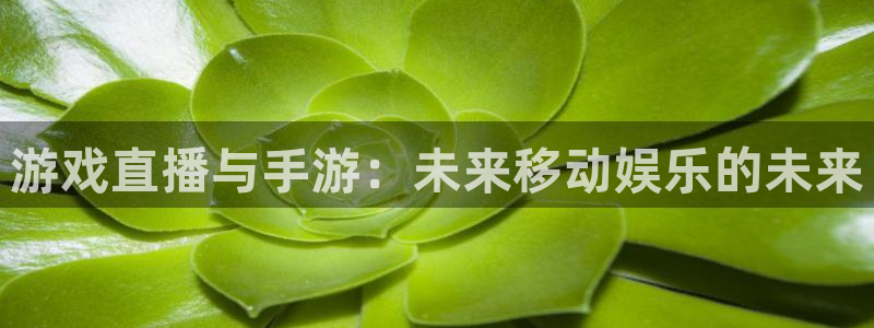 巅峰国际平台：游戏直播与手游：未来移动娱乐的未来