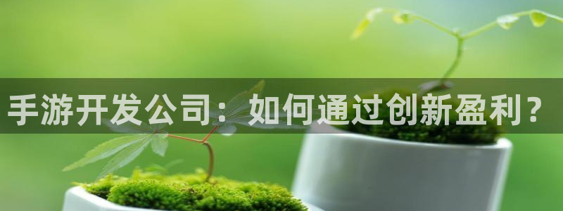 巅峰国际登陆