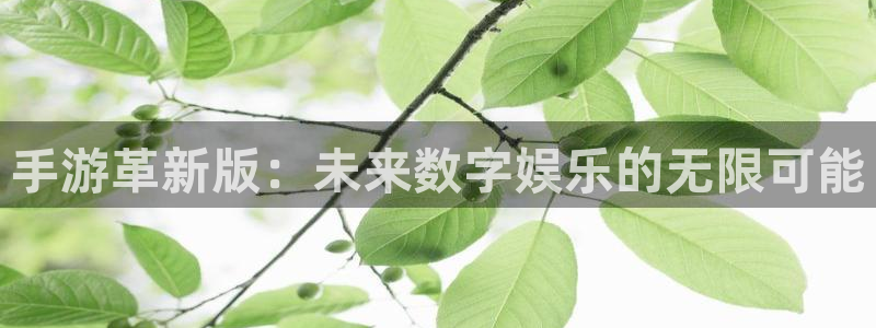 巅峰国际平台