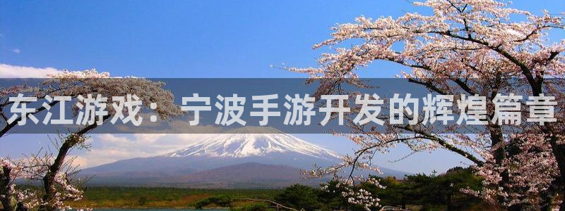 巅峰国际注册：东江游戏：宁波手游开发的辉煌篇章