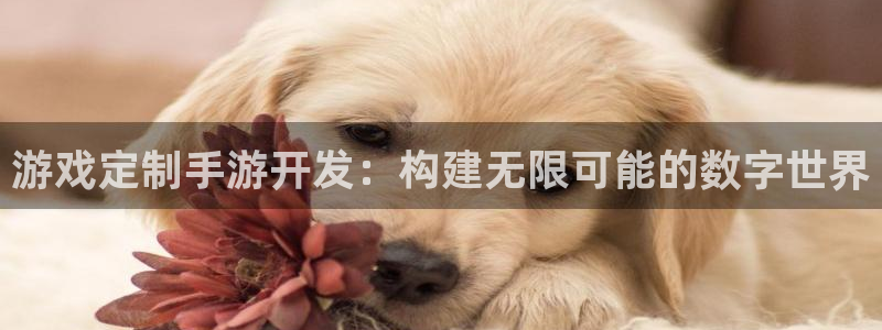 巅峰国际官网：游戏定制手游开发：构建无限可能的数字世界