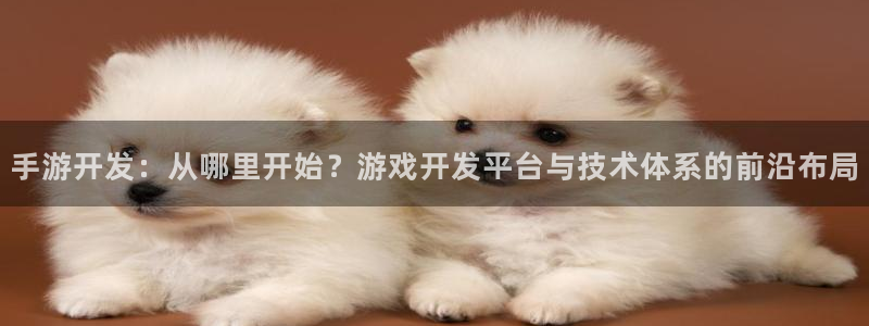巅峰国际app：手游开发：从哪里开始？游戏开发平台与技术体系