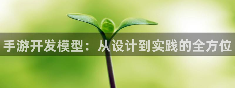 巅峰国际首页：手游开发模型：从设计到实践的全方位