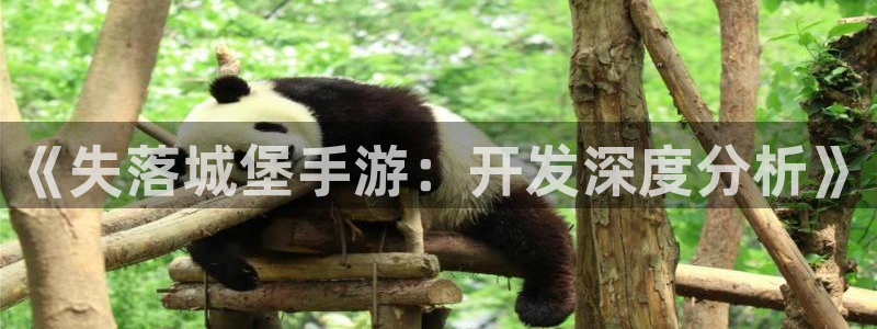 巅峰国际官网：《失落城堡手游：开发深度分析》