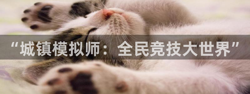 巅峰国际登录：“城镇模拟师：全民竞技大世界”