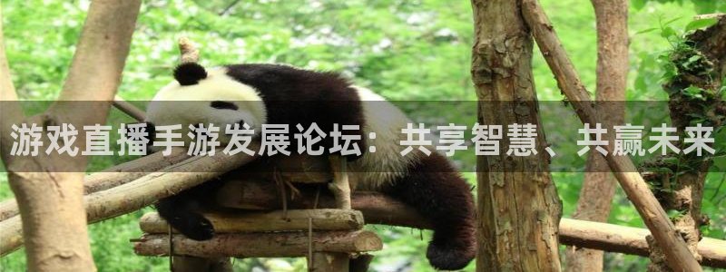 巅峰国际登陆：游戏直播手游发展论坛：共享智慧、共赢未来