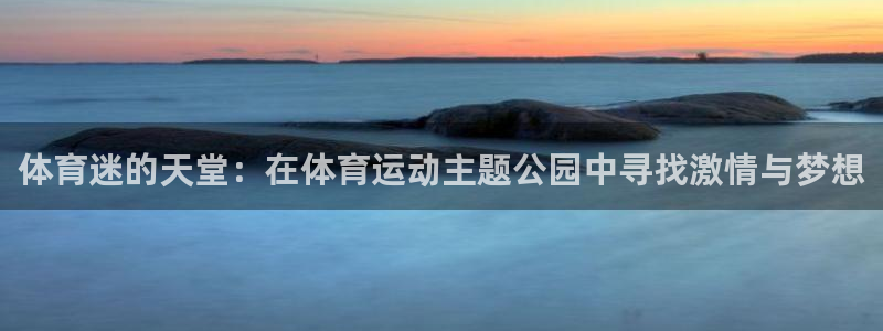 vsport体育在线官网：体育迷的天堂：在体育运动主题公园中寻找激情与梦想