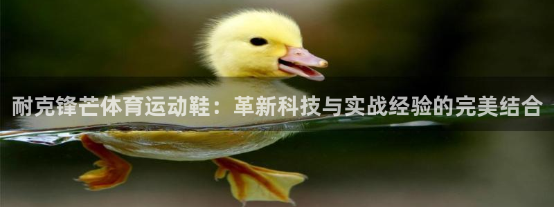 vsport体育：耐克锋芒体育运动鞋：革新科技与实战经验的完美结合