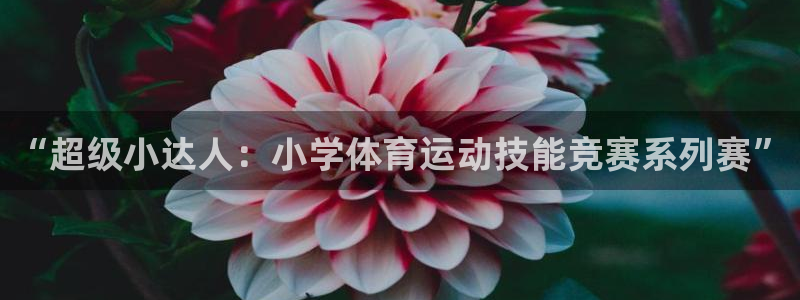vsport体育：“超级小达人：小学体育运动技能竞赛系列赛”