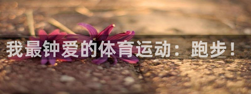 vsport体育：我最钟爱的体育运动：跑步！