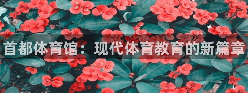 vsport体育在线官网：首都体育馆：现代体育教育的新篇章