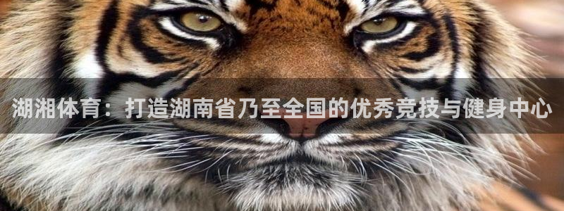 vsport体育在线官网：湖湘体育：打造湖南省乃至全国的优秀竞技与健身中心