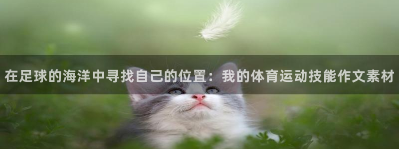 vsport体育在线官网：在足球的海洋中寻找自己的位置：我的体育运动技能作文素材