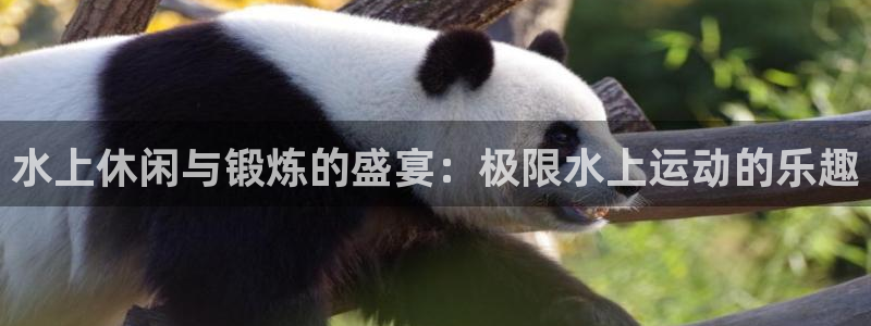 vsport体育：水上休闲与锻炼的盛宴：极限水上运动的乐趣